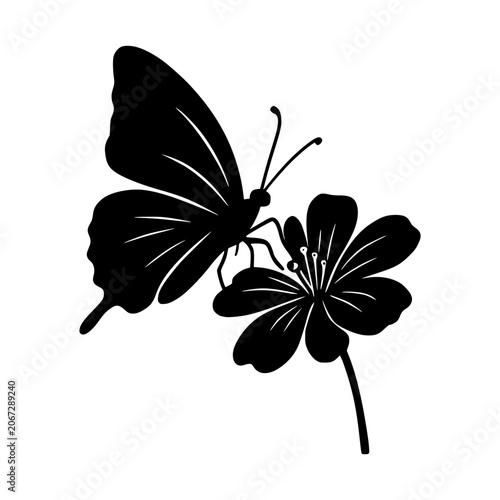 Silhouette of Butterfly on Flower: A striking black silhouette of a butterfly perches delicately on a blooming flower, its intricate wing patterns and graceful form captured in stark contrast.