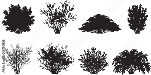 Konstfotografi Bush Silhouette Collection Featuring Ornamental Shrubs Hedges and Decorative Gar