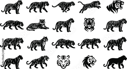 Tiger Silhouette Collection Vector Set with Walking Running Jumping Standing Poses and Tiger Head Logo Illustrations
