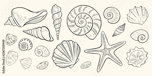Bild auf Leinwand Seashells And Starfish Sketch Black And White Illustration
