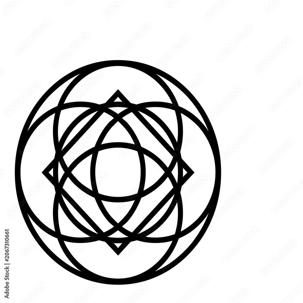 Obraz premium Abstract geometric line art circle design