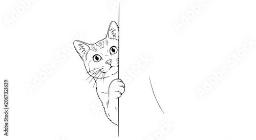 Foto Curious Cat Peeking Around Corner, Outline Sketch, Playful Kitten