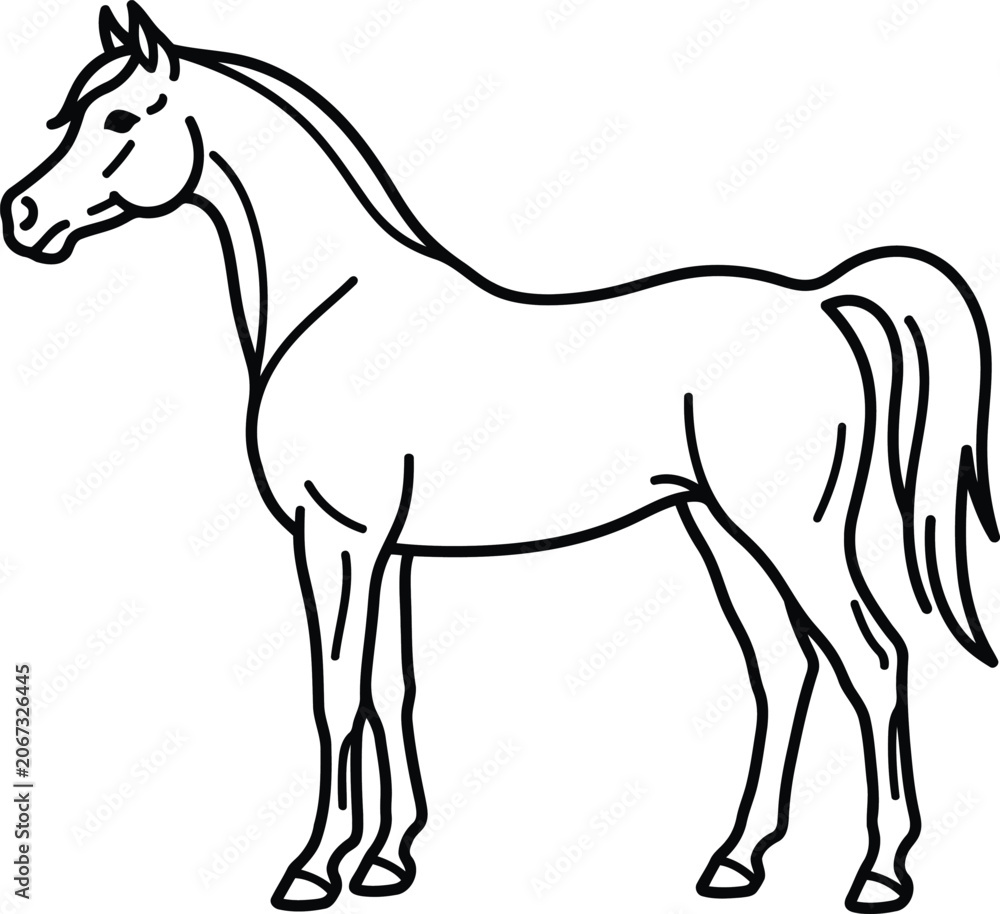 Fototapeta premium Elegant Arabian Horse Silhouette, Side Profile, Clean Line Art Illustration