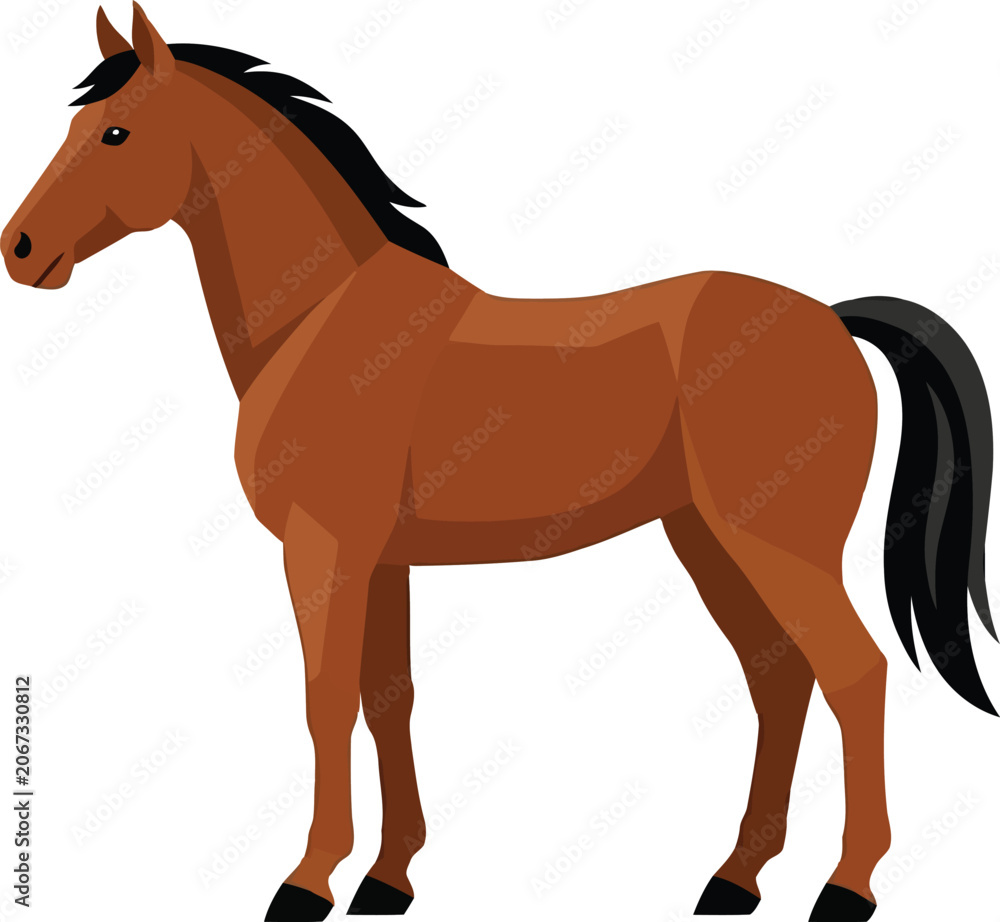 Fototapeta premium Brown Horse Standing Still Isolated on White Background, Side View