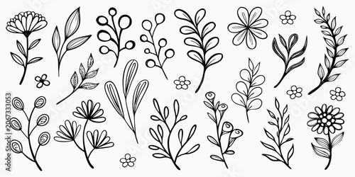 Botanical collection black and white hand drawn floral ornament arrangement