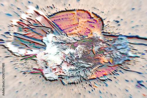 Tableau sur toile chalk render of deceased dove