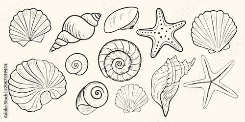 Canvas-taulu Seashells And Starfish Black And White Sketch Illustration