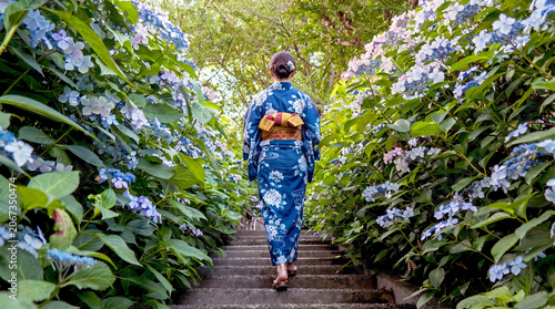 アジサイと浴衣姿の女性