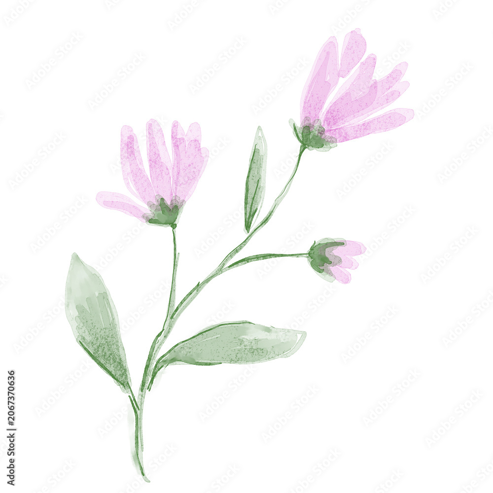 Fototapeta premium Pink flower watercolor