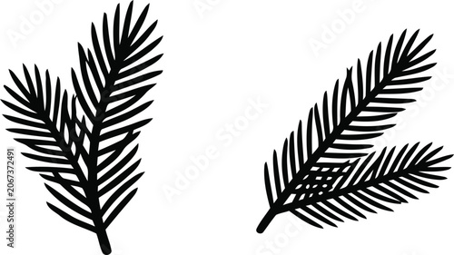 Pine leaf silhouette, isolated on white background