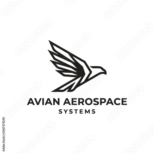 Bild auf Leinwand Geometric flying eagle aerospace logo symbol with aerospace geometric aviation