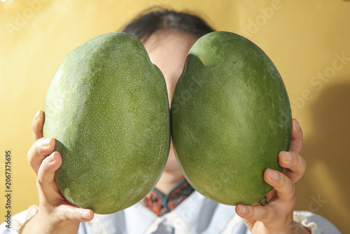 Photography Fresh Green Kate Mangoes from Panzhihua Sichuan China Held by Woman