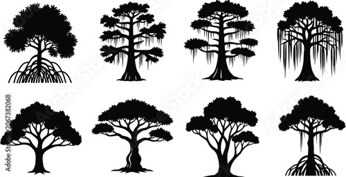 Slika na platnu Collection of swamp tree silhouettes including mangrove banyan and cypress speci