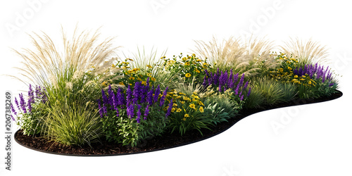 Lush garden flower bed with purple salvia, yellow wildflowers, and ornamental grasses isolated on a transparent background