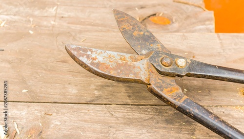 Rusty shears on a wooden surface