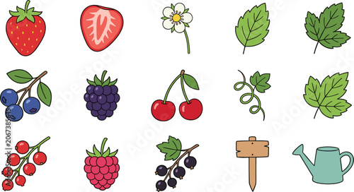 Fresh Summer Berry and Garden Vector Icon Set Featuring Strawberry, Blueberry, Raspberry, Cherry, Currant, Blackberry, Leaves, and Watering Can for Food Packaging Designs