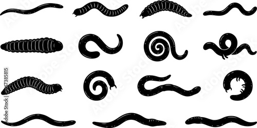 Fotografie Set of different worms, larvae, and insects