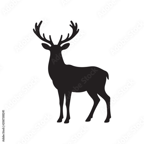 Foto Beautiful noble proud sika deer are ruminant mammal in family Cervidae