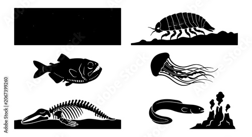 Photography Deep sea creature silhouettes, marine life vector set with jellyfish and eel, pr