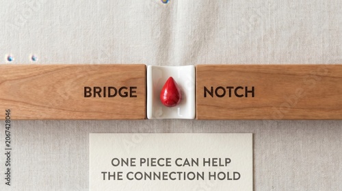 Blood Donation Symbol: A Red Drop for Connection and Help