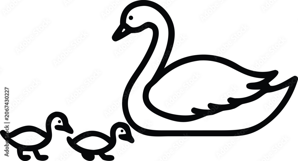 Fototapeta premium Minimalist Black and White Line Art Illustration of Elegant Mother Swan Leading Three Baby Cygnets in Family Scene