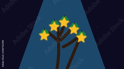 Lucky Star Tree Illuminated in Spotlight