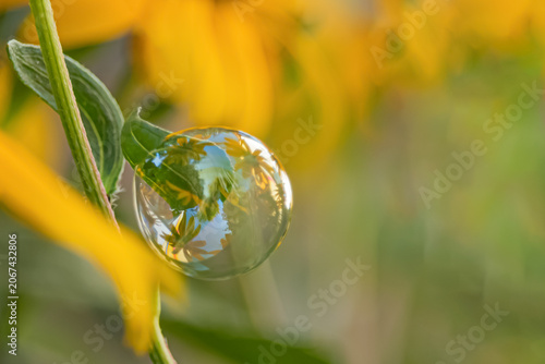 Soap bubble