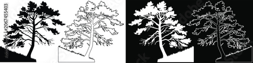 Cuadro en lienzo Vector silhouette and outline of a pine tree on a hillside in black and white va