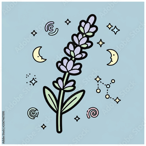Lavender Plant with Purple Flowers.
