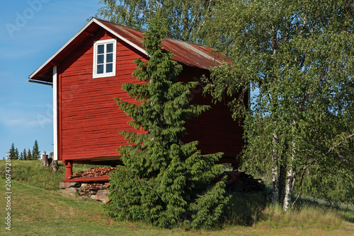 Authentic photo of a traditional red wooden aitta storage shed standing on stones in a lush green Scandinavian summer landscape with birch trees under a clear blue sky.