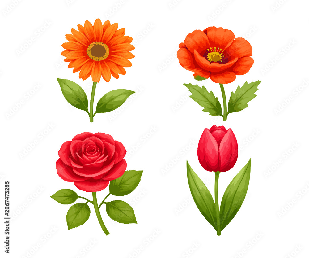 Obraz premium Flower Elements Collection