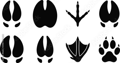 Cuadro en lienzo Silhouette illustration of animal footprints including hoof marks, bird tracks,