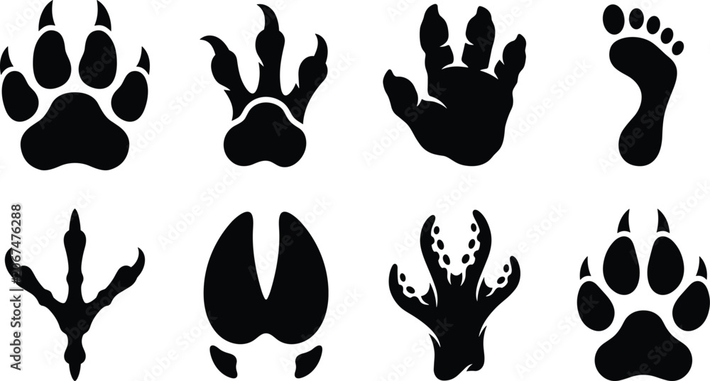 Fototapeta premium Silhouette illustration of diverse animal footprints including bird, hoof, paw, reptile, and aquatic tracks