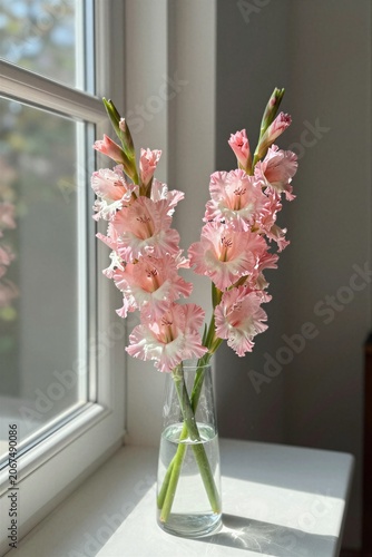 Beautiful Pink Gladiolus Flowers in a Glass Vase on a Windowsill