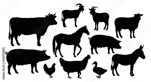 Set of farm animal silhouettes isolated on white background.