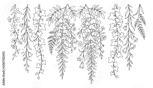 Quadro su tela Hand drawn botanical hanging vines and flowers, black and white line art floral