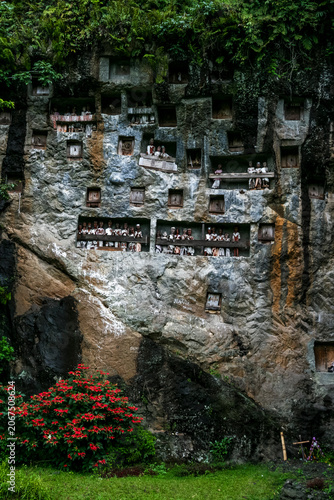 Rock with graves and wooden dolls (tau tau) in Londa, Tana Toraja, Sulawesi, Indonesia, Asia