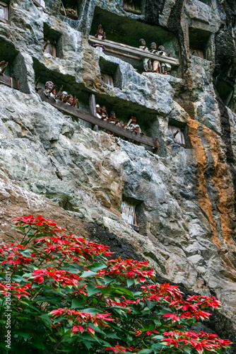 Rock with graves and wooden dolls (tau tau) in Londa, Tana Toraja, Sulawesi, Indonesia, Asia