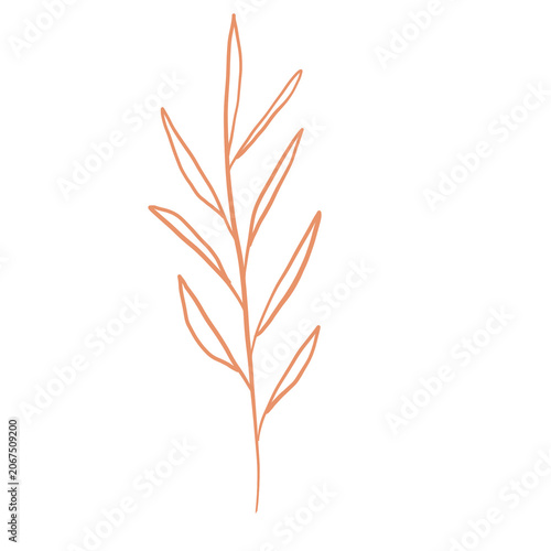autumn leaves isolated on white background