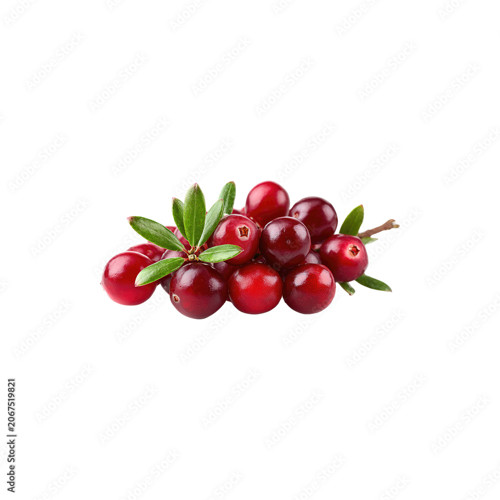 Obraz premium Fresh red cranberry berries with green leaves branch macro close up studio lighting detailed photography isolated on white background
