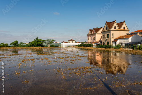 Tablou pe pânză The irrigated farmland in the countryside