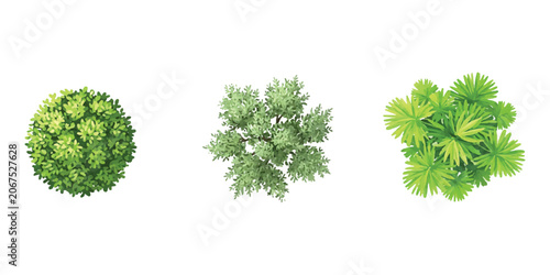 Foto Three different green trees seen from above for landscape design and architectur