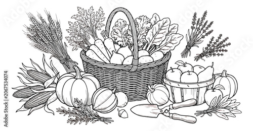 Foto Vintage harvest basket vector illustration, rustic autumn farm vegetables and ga