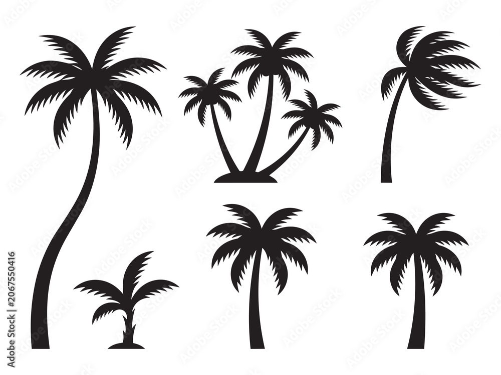 Naklejka premium Collection of black tropical coconut palm tree silhouettes showing different sizes on white canvas