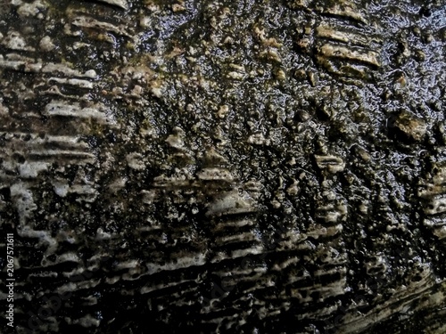 Close up of wet black textured surface with white lines and rough pattern 
