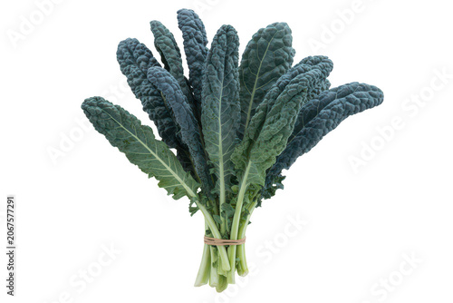 Bunch of fresh dark green lacinato kale leaves tied together with a rubber band isolated on a solid black background, healthy vegetable food