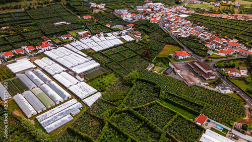 Foto Cultivation and export preparation of crops in commercial greenhouses and banana