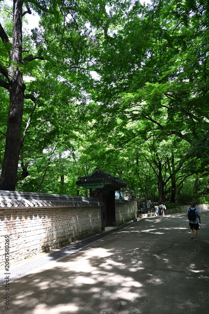 Fototapeta premium korean traditional building in garden