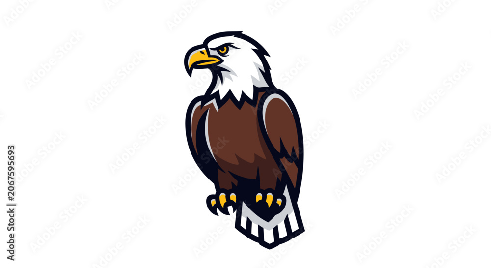 Fototapeta premium American Bald Eagle Bird Animal.