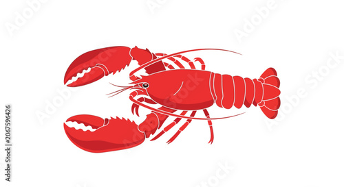 A bright red lobster on white.